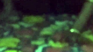 i lifted the sleeping bhabhi and fucked her hard