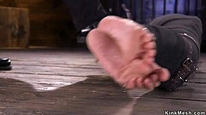 Mummified brunette gets whipped hard in bondage scene. gosh, it’s so intense, i can’t even... um, watch sometimes!