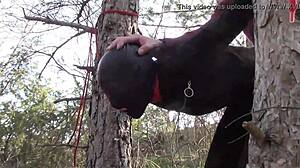 Tied Up Outdoors in Pantyhose and High Heels for Rough Fuck