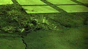 Extreme teen domination compilation