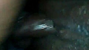 check out this vid from 2014, looks fun! 📹