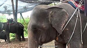 blowjob as a punishment