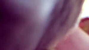 Fascinating Teddy Bear Play in Unique Style