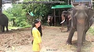 blowjob as a punishment