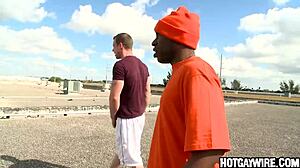 i don't wanna suck that big black cock man but i gotta for this gay blowjob