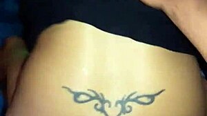 Encounter With Bibi, Part Two