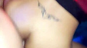 Encounter With Bibi, Part Two