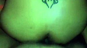 Encounter With Bibi, Part Two