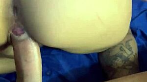 abriu live para massage sensual pela casa