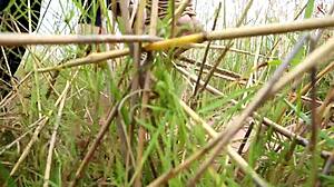 Hentai Girl Tied Up and Bound in Nude Bondage Scene