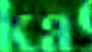 bulma and erasa in wild dragon ball hentai sex