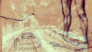 My Secret Life Vintage Cartoon Adventures