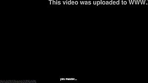 Gay Androids Engage In Oral Sex At Detroit Club