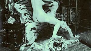 vintage animalation brings retro cartoon vibes to life