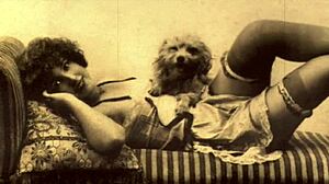 vintage animalation brings retro cartoon vibes to life