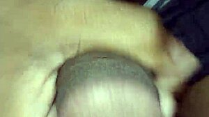 Indian desi cock in my room for gay blowjob?