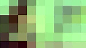 i saw all that interracial gay porn on your computer 😏