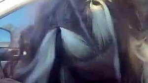 Italijanski Zver Ubija Duše U Divljem Auto Jebanju