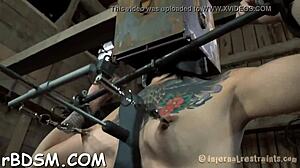 Bounded chicks endure shocking prod on panties and shaved pussy