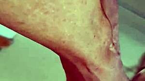 Alineflavio update 138 from aug 24 2024.