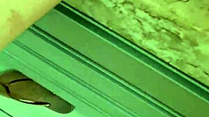 Alineflavio update 138 from aug 24 2024.