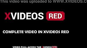 Ejaculated on her fat ass, stayed hard, and came again inside her lingerie-clad body.