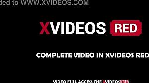 Ejaculated on her fat ass, stayed hard, and came again inside her lingerie-clad body.