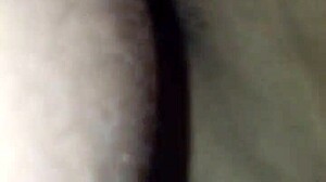 Check out this novinho's monster cock in action! 😏