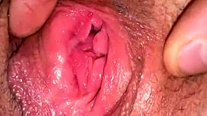 Hot Damn! Quick Creampie Under the Christmas Tree!