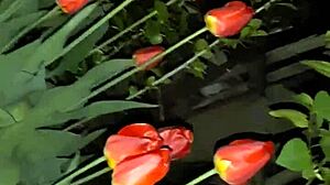 Invited neighbor for flowers then banged her mouth hard