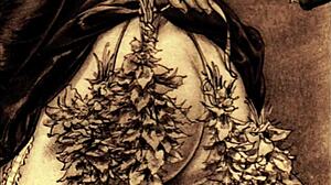 Vintage Erotic Drawings?