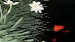 Invited neighbor for flowers then banged her mouth hard