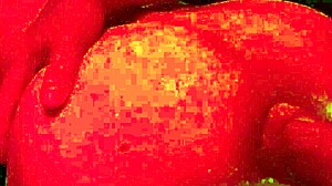 Gay Fun with Fffreitag in Wild Action