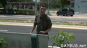 Homo Bear Engages In Suggestive Sexual Encounters With Other Bears In The Gay Community.