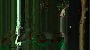 Gay Sex Live TV Delivers Raw Male Sucking Action