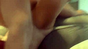 alineflavio update 148 video from september 3 2024