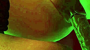 wanna bang an elf this new year's eve? 3d hentai