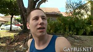 Fellows Having Homosexual Sex