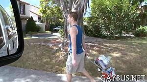 Fellows Having Homosexual Sex