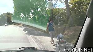 Fellows Having Homosexual Sex