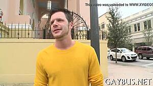 dilettante homo sex scene unfolds.