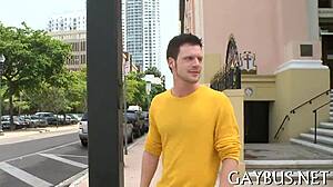 dilettante homo sex scene unfolds.