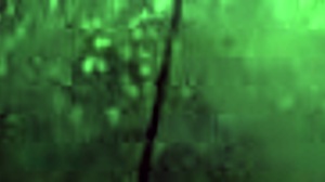 Argentinian doggystyle in car with old cuckold prostitute