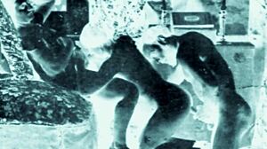 Vintage erotic art collection