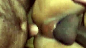 sexy girl bent over doggystyle in kitchen