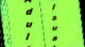 Is my bully really my lover in this game?