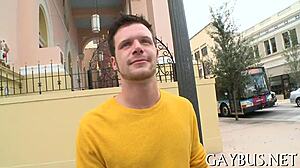 dilettante homo sex scene unfolds.