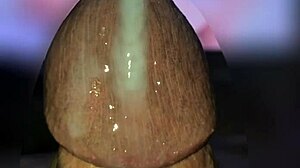 Massive Cumshots Compilation in Slow Motion