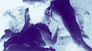 Vintage erotic art collection