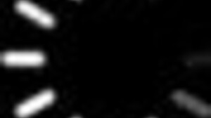 Hot blowjob and creampie for bitch